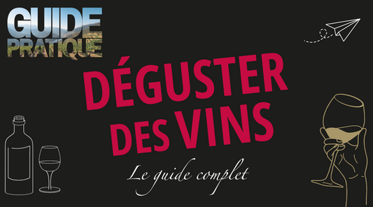 Guide complet : Déguster des vins