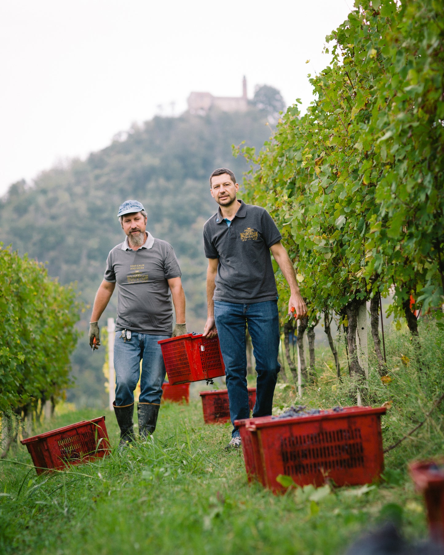 Nebbiolo d‘Alba 2020